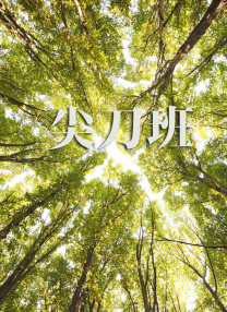 欧美之色